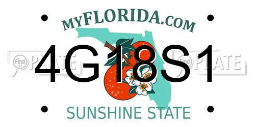 4G18S1 Florida License Plate