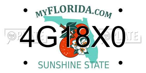 4G18X0 Florida License Plate