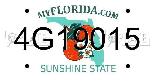 4G19015 Florida License Plate