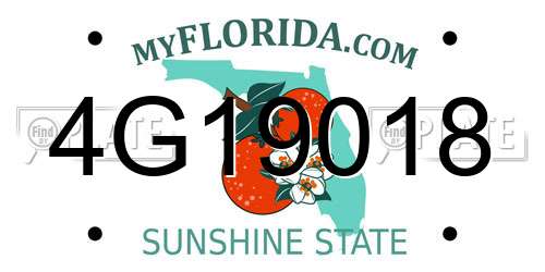 4G19018 Florida License Plate