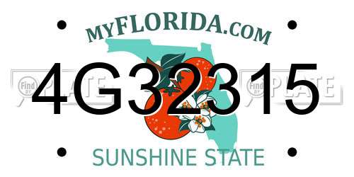 4G32315 Florida License Plate