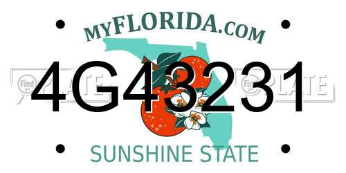 4G43231 Florida License Plate