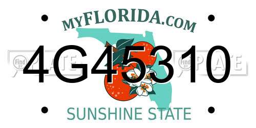 4G45310 Florida License Plate
