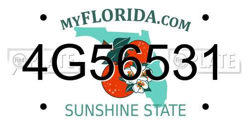 4G56531 Florida License Plate