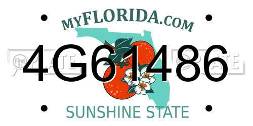 4G61486 Florida License Plate