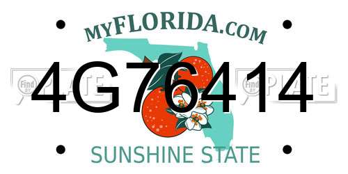 4G76414 Florida License Plate
