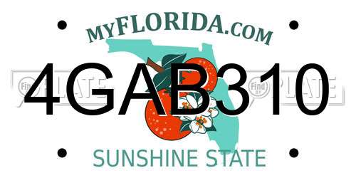 4GAB310 Florida License Plate
