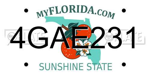 4GAE231 Florida License Plate