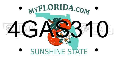 4GAS310 Florida License Plate