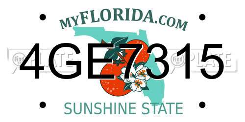 4GE7315 Florida License Plate