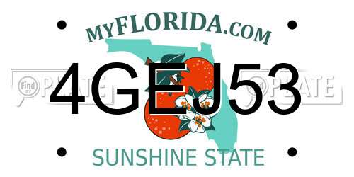 4GEJ53 Florida License Plate