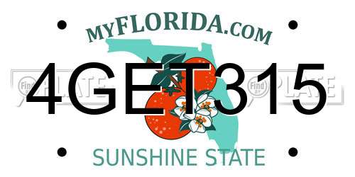 4GET315 Florida License Plate