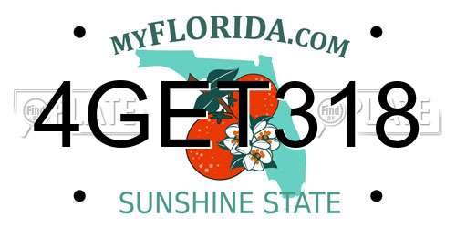 4GET318 Florida License Plate