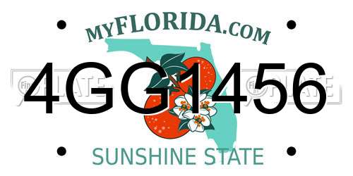 4GG1456 Florida License Plate