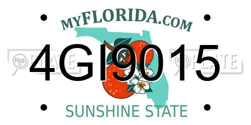 4GI9015 Florida License Plate
