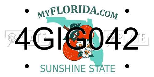 4GIG042 Florida License Plate