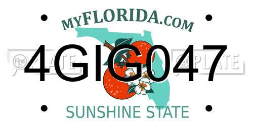 4GIG047 Florida License Plate