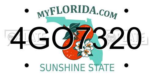 4GO7320 Florida License Plate