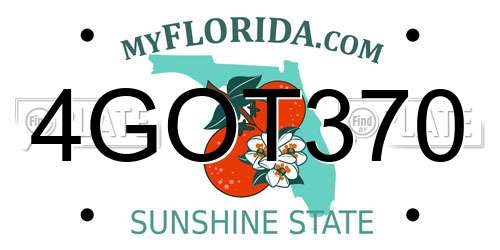 4GOT370 Florida License Plate