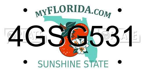 4GSG531 Florida License Plate