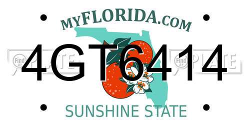 4GT6414 Florida License Plate