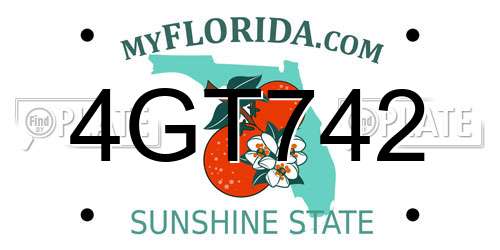 4GT742 Florida License Plate