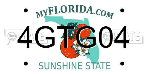 4GTG04 Florida License Plate