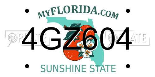 4GZ604 Florida License Plate