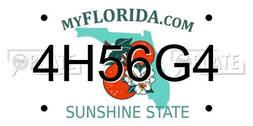4H56G4 Florida License Plate