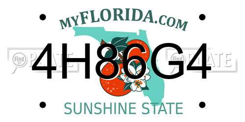 4H86G4 Florida License Plate