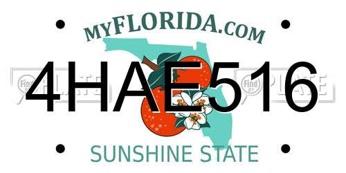 4HAE516 Florida License Plate