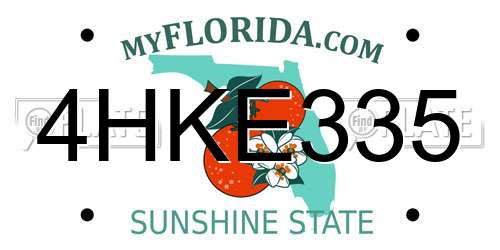 4HKE335 Florida License Plate