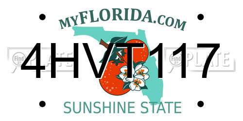 4HVT117 Florida License Plate