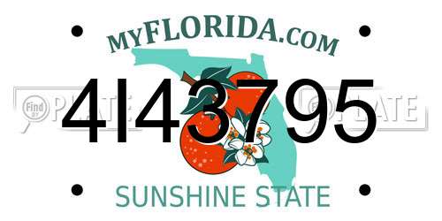 4I43795 Florida License Plate