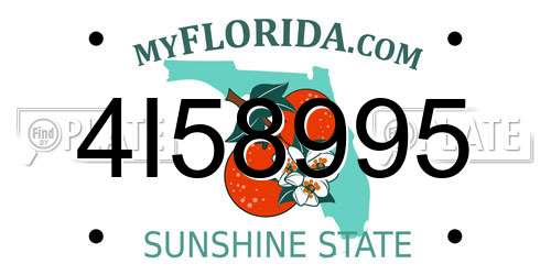 4I58995 Florida License Plate