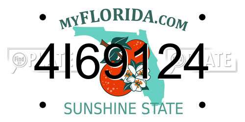 4I69124 Florida License Plate