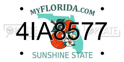 4IA8577 Florida License Plate