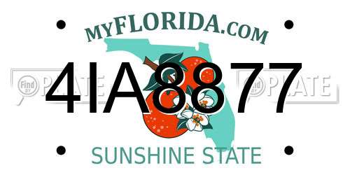 4IA8877 Florida License Plate