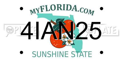 4IAN25 Florida License Plate