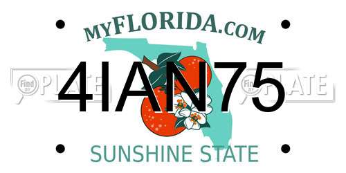 4IAN75 Florida License Plate