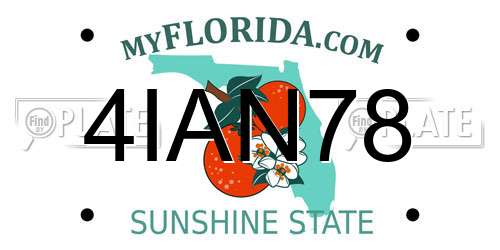 4IAN78 Florida License Plate