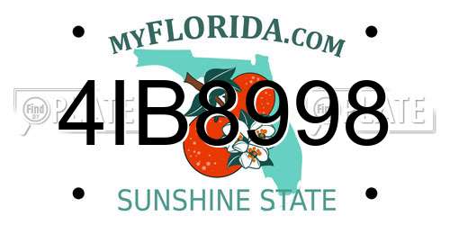 4IB8998 Florida License Plate