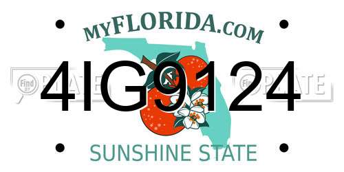 4IG9124 Florida License Plate