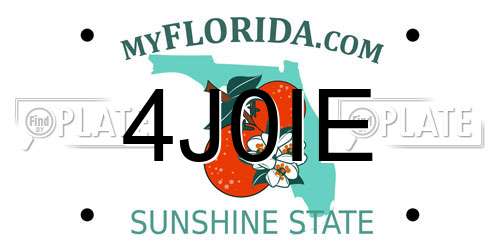 4J0IE Florida License Plate