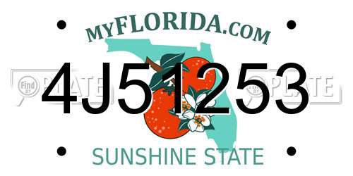 4J51253 Florida License Plate