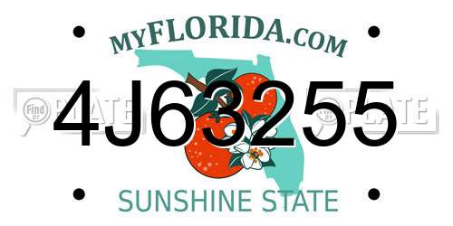 4J63255 Florida License Plate