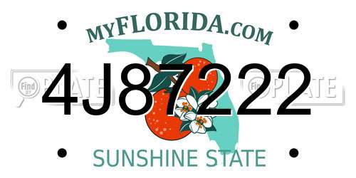 4J87222 Florida License Plate