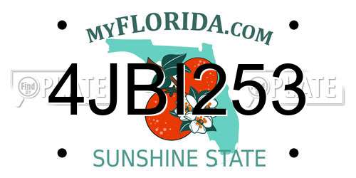4JBI253 Florida License Plate