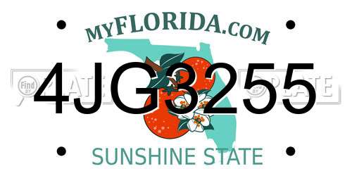 4JG3255 Florida License Plate