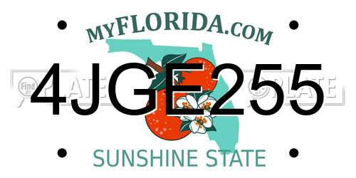 4JGE255 Florida License Plate